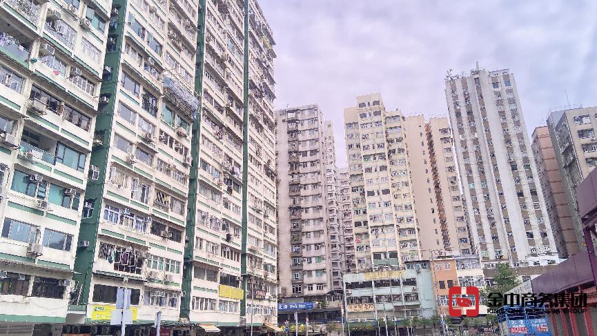 香港專才計劃